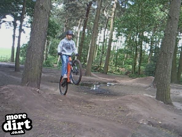 Delamere Forest Mountain Bike Trails