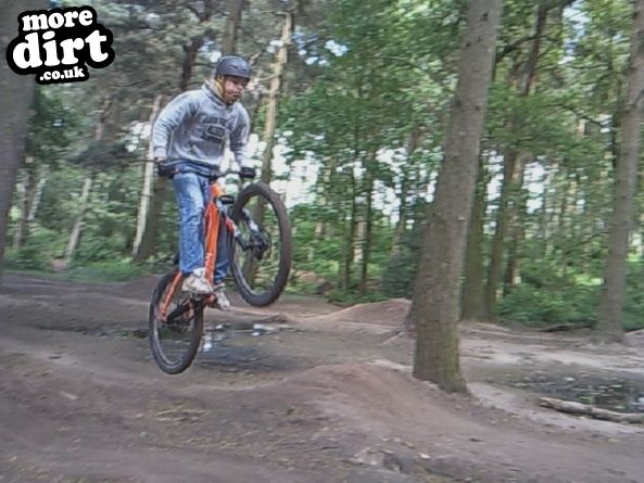 Delamere Forest Mountain Bike Trails
