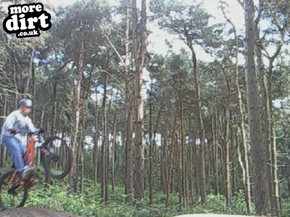 Delamere Forest Mountain Bike Trails