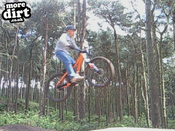 Delamere Forest Mountain Bike Trails