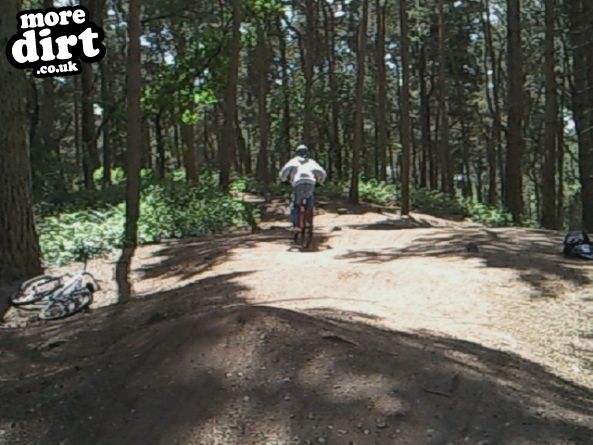 Delamere Forest Mountain Bike Trails