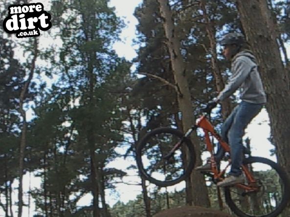 Delamere Forest Mountain Bike Trails