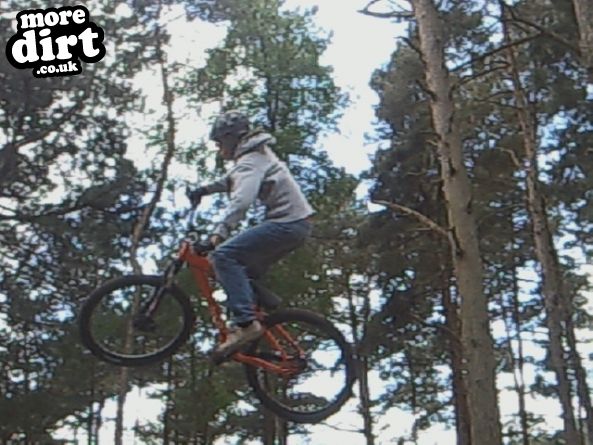 Delamere Forest Mountain Bike Trails