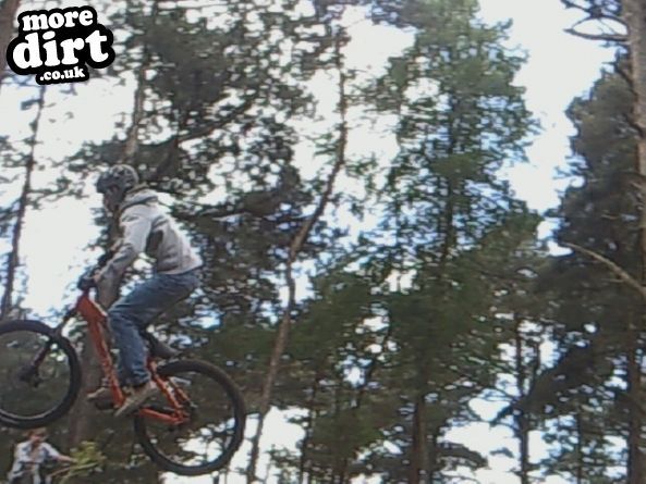 Delamere Forest Mountain Bike Trails