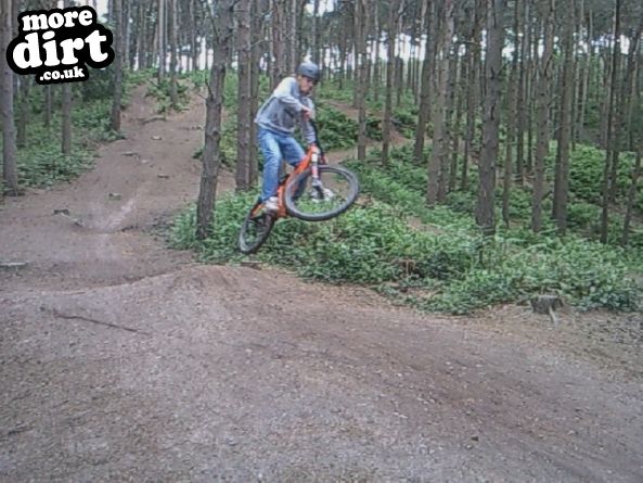 Delamere Forest Mountain Bike Trails
