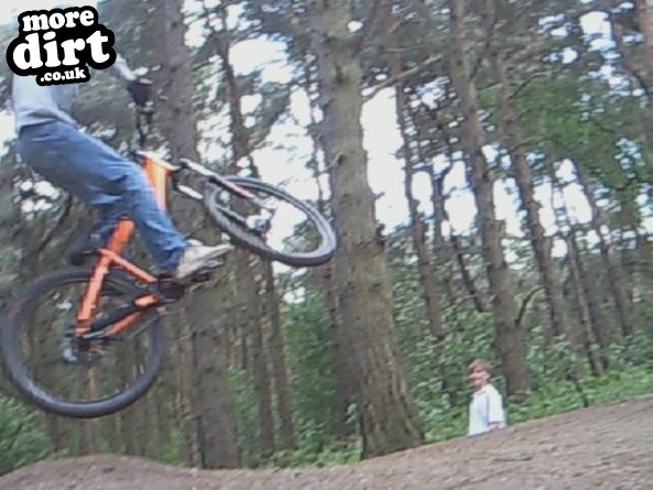 Delamere Forest Mountain Bike Trails
