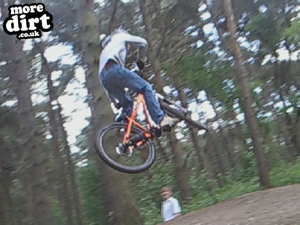 Delamere Forest Mountain Bike Trails