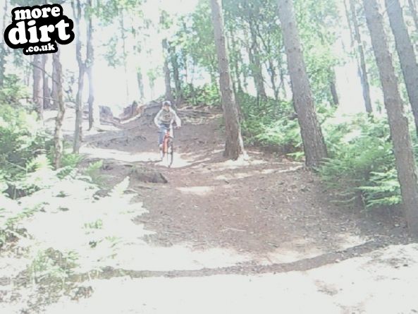 Delamere Forest Mountain Bike Trails