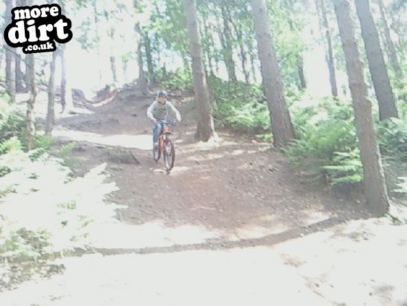 Delamere Forest Mountain Bike Trails