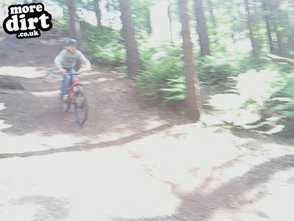 Delamere Forest Mountain Bike Trails