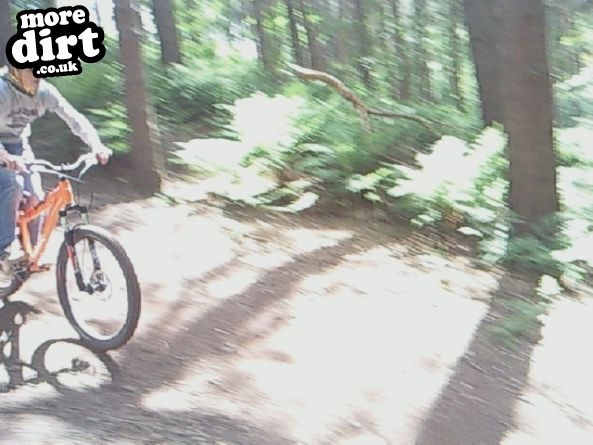 Delamere Forest Mountain Bike Trails