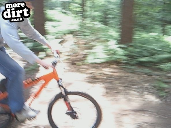 Delamere Forest Mountain Bike Trails