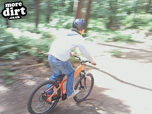 Delamere Forest Mountain Bike Trails