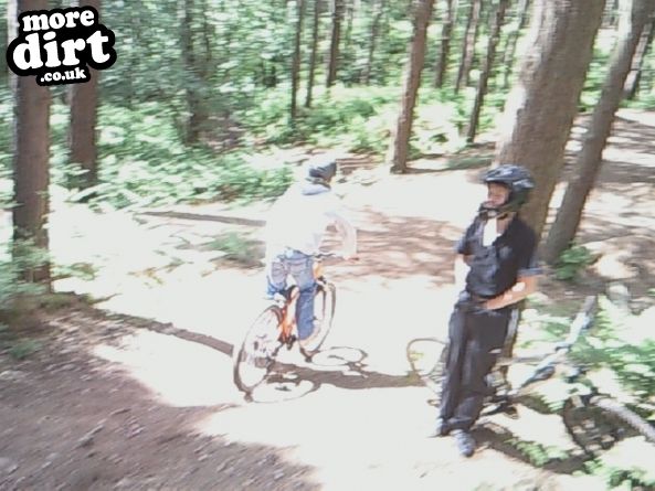 Delamere Forest Mountain Bike Trails