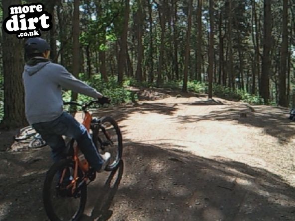 Delamere Forest Mountain Bike Trails