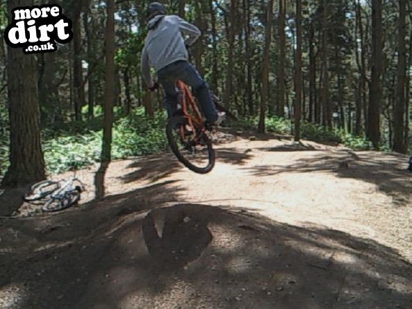 Delamere Forest Mountain Bike Trails