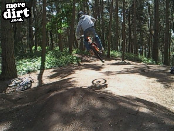 Delamere Forest Mountain Bike Trails