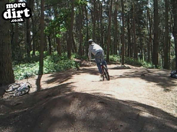 Delamere Forest Mountain Bike Trails