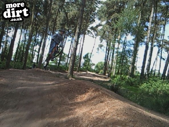 Delamere Forest Mountain Bike Trails