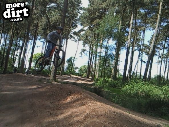 Delamere Forest Mountain Bike Trails