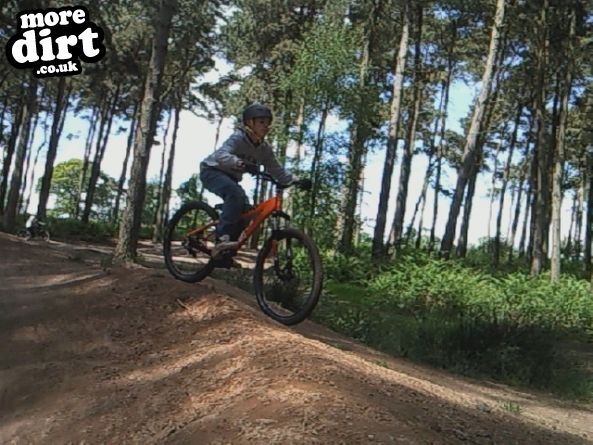 Delamere Forest Mountain Bike Trails