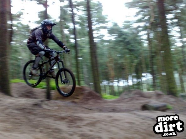 Delamere Forest Mountain Bike Trails