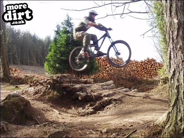 Llantrisant Wood Downhill Trails