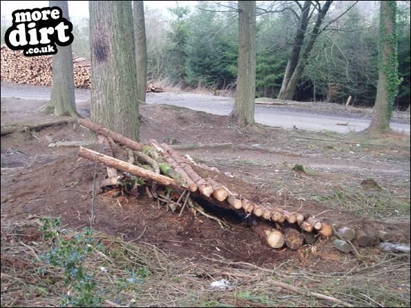 Llantrisant Wood Downhill Trails