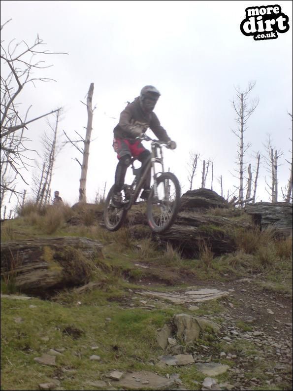Mountain Ash DH Trail