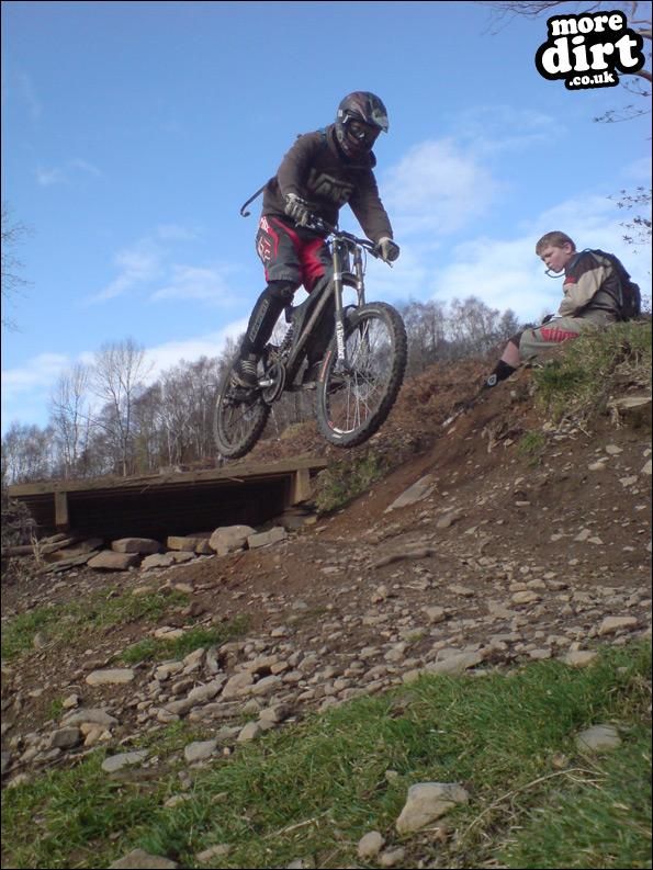 Mountain Ash DH Trail