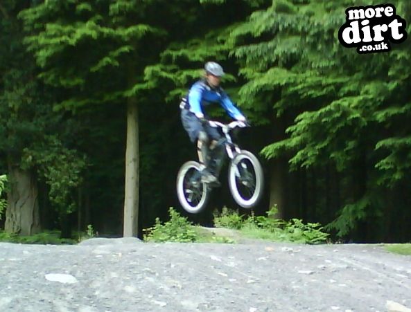 Downhill Trails - Forest of Dean