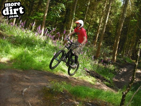 Wentwood Forest Downhill Trail