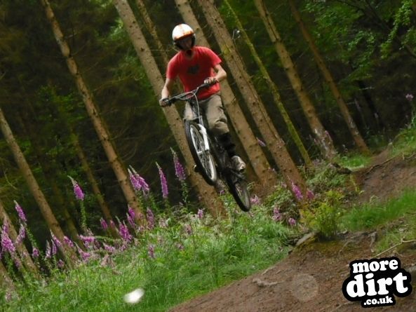 Wentwood Forest Downhill Trail
