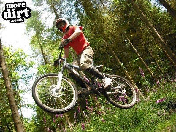 Wentwood Forest Downhill Trail