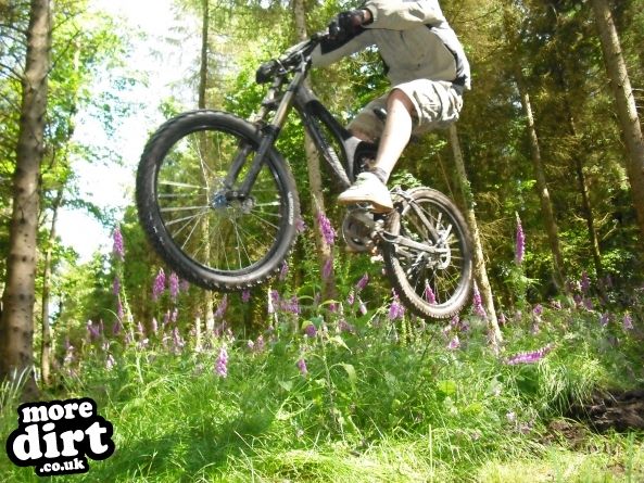 Wentwood Forest Downhill Trail
