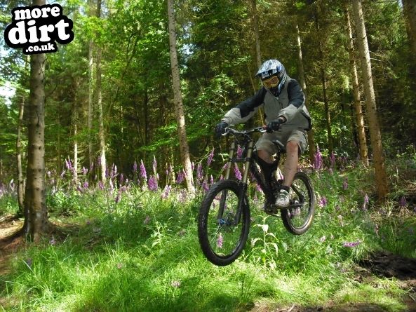 Wentwood Forest Downhill Trail