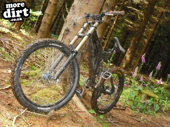 Wentwood Forest Downhill Trail