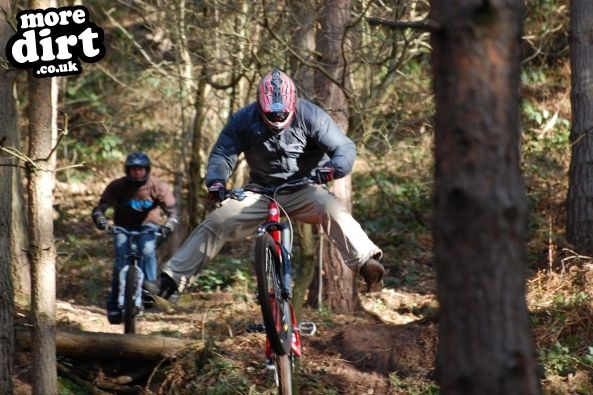 Kinver Freeride Park