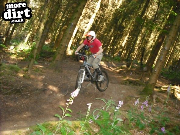 Wentwood Forest Downhill Trail