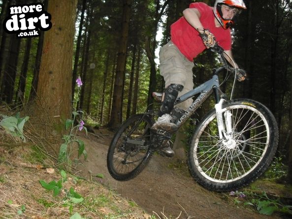 Wentwood Forest Downhill Trail