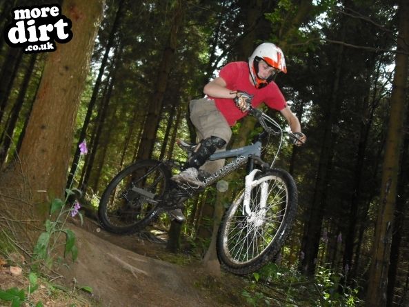 Wentwood Forest Downhill Trail