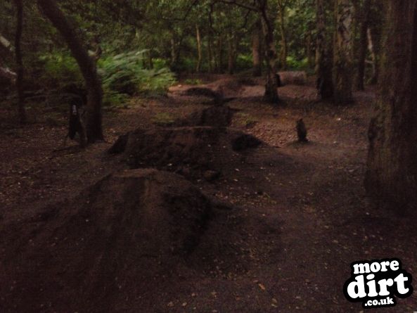 Foxhall Stadium Forest Trails