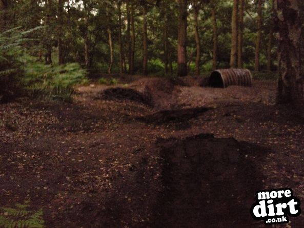 Foxhall Stadium Forest Trails