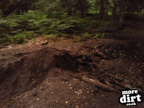 Foxhall Stadium Forest Trails