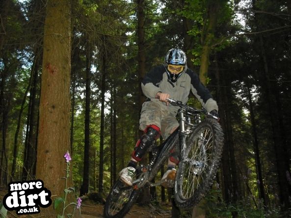 Wentwood Forest Downhill Trail