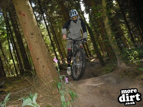 Wentwood Forest Downhill Trail