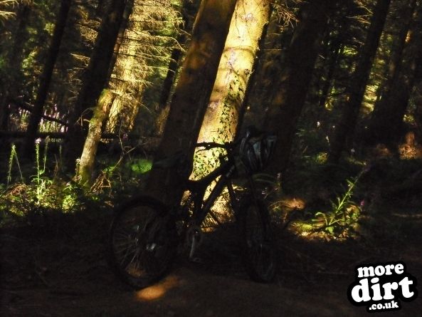 Wentwood Forest Downhill Trail