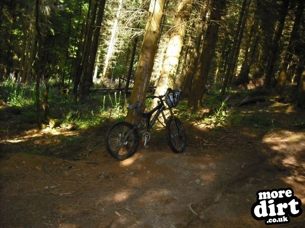 Wentwood Forest Downhill Trail