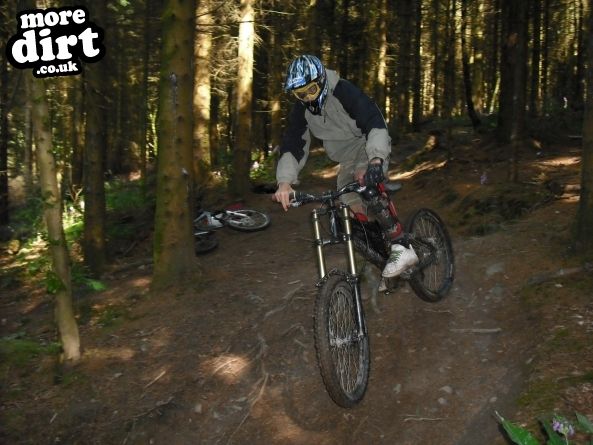 Wentwood Forest Downhill Trail