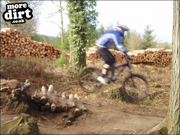Llantrisant Wood Downhill Trails